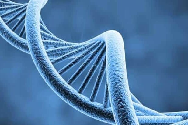 molecola dna